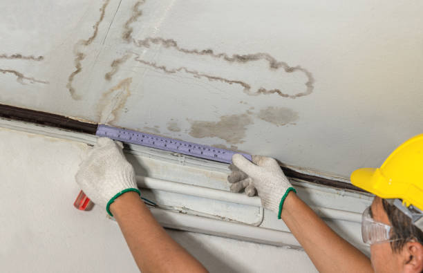 Reliable Mold Remediation contractor in Whitman, MA by Water Damage Irwin